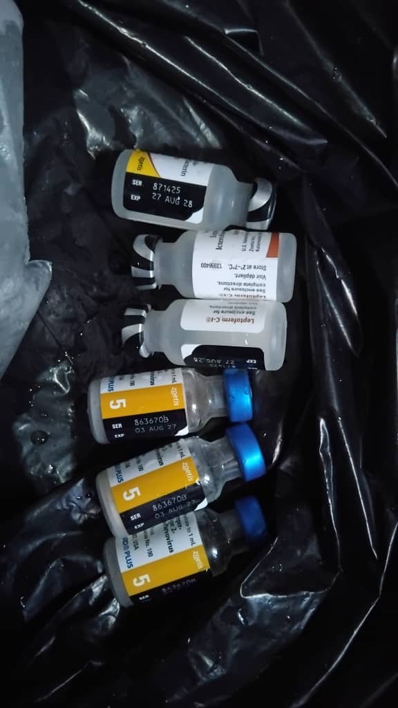 Vaccines used at Platinum Kennels