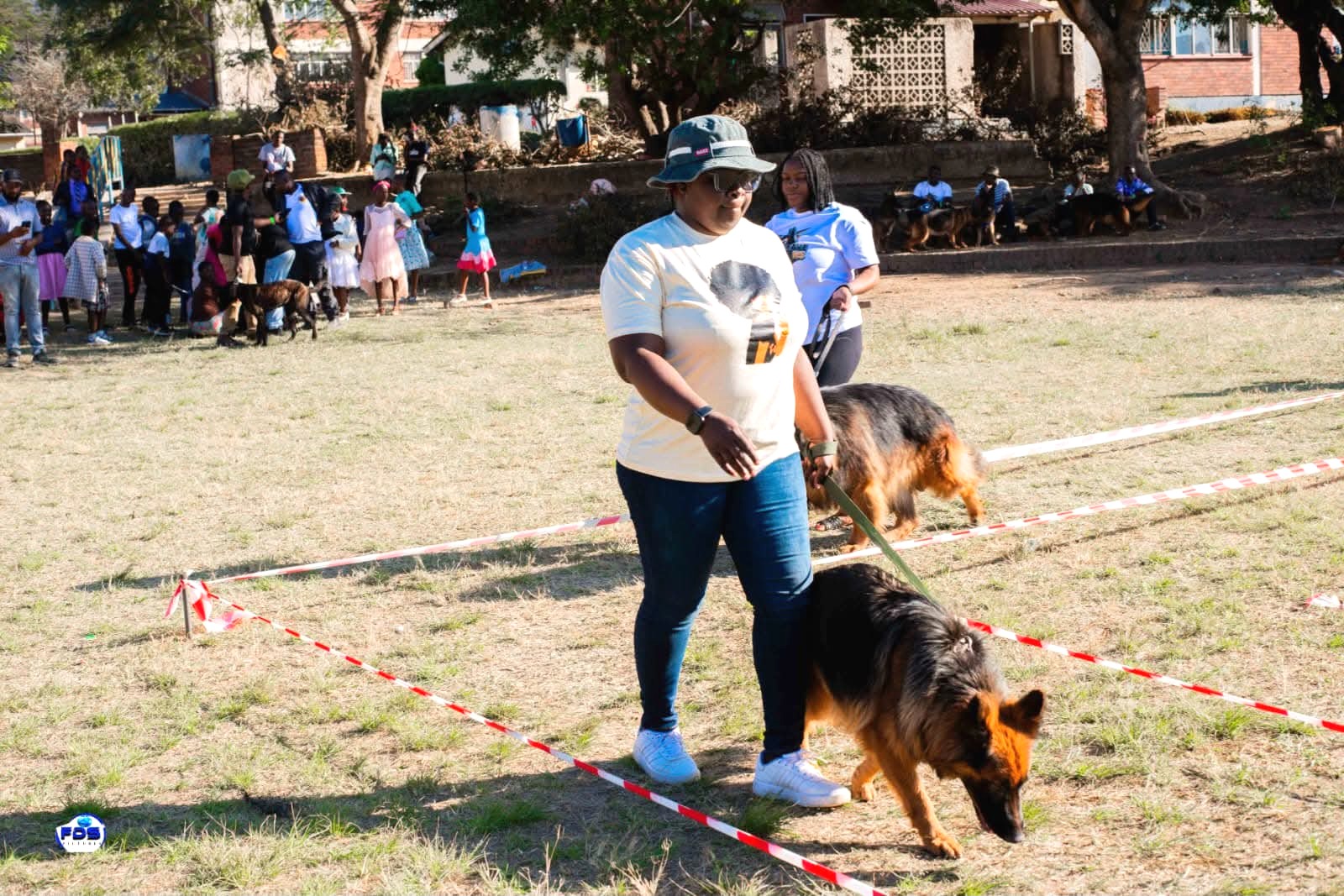German Shepherd at an outdoor event