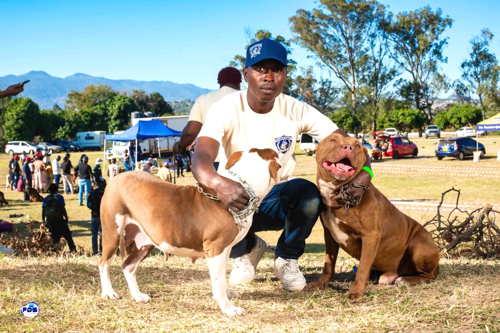 Handler with protection dogs