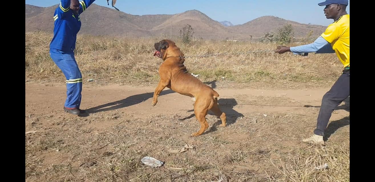 Training session