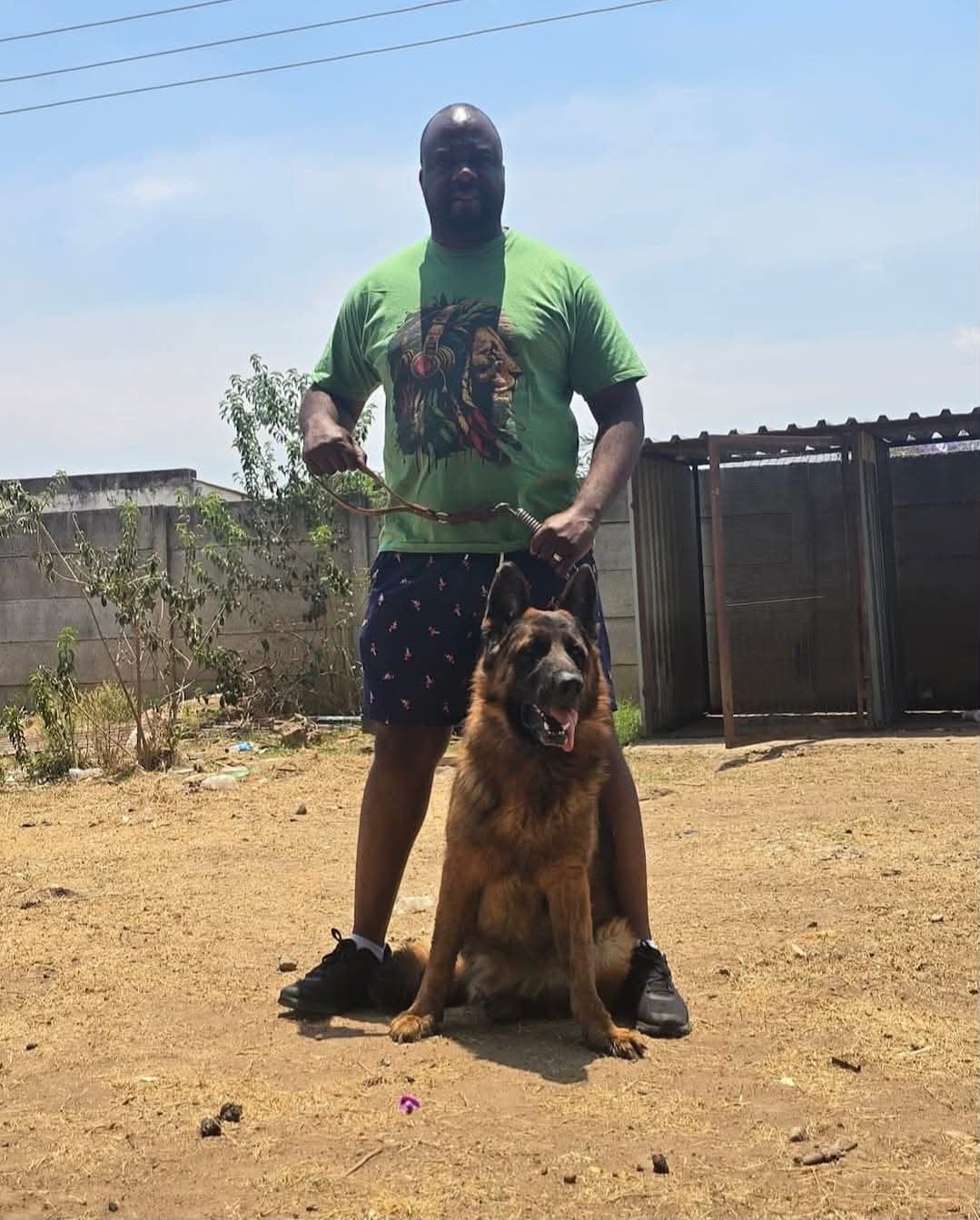 Dog training session